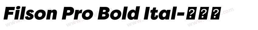 Filson Pro Bold Ital字体转换